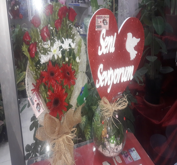 Teraryum ve Peluş Ayı