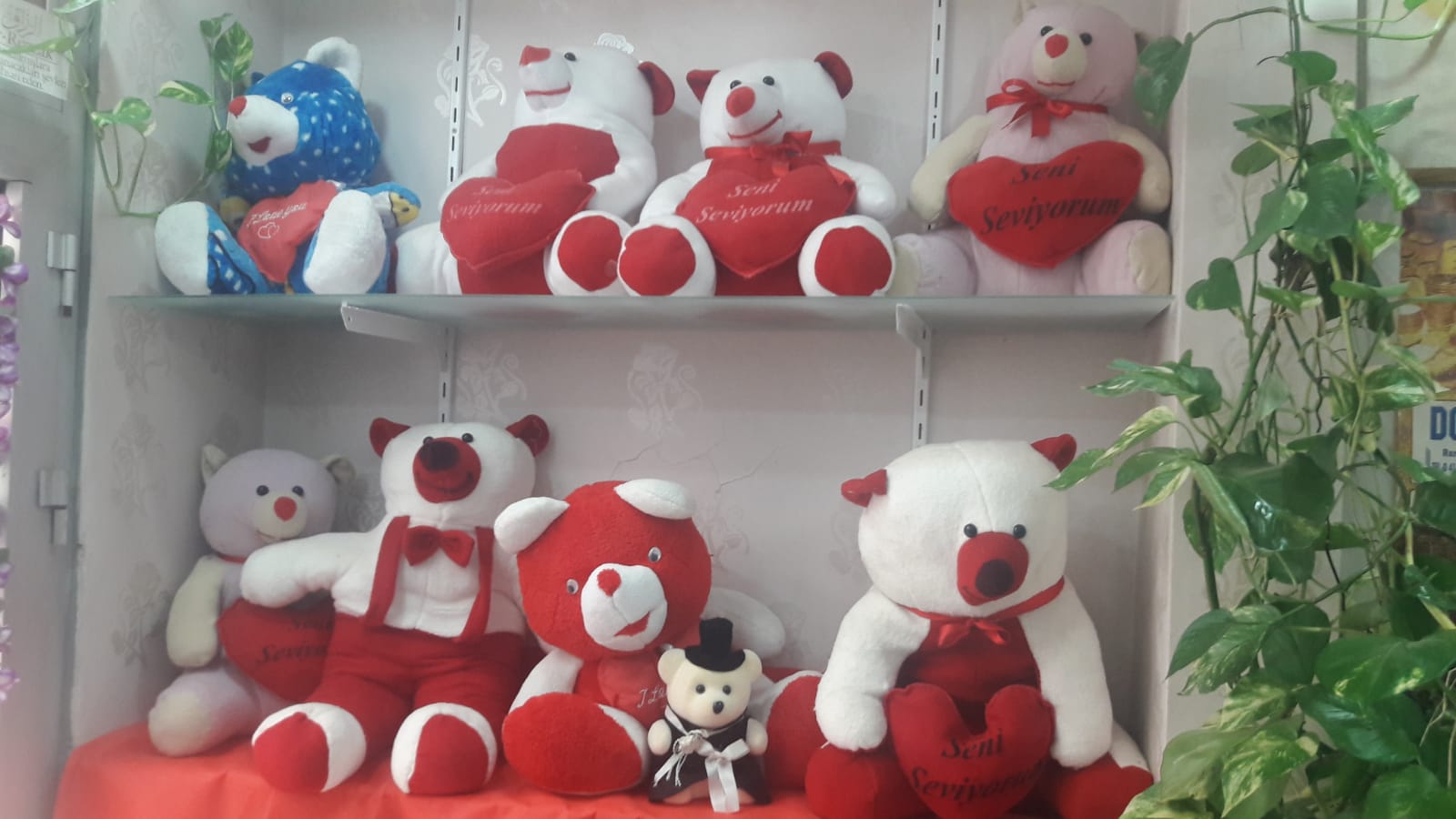 Burcu Çiçek Evi galeri görseli 8