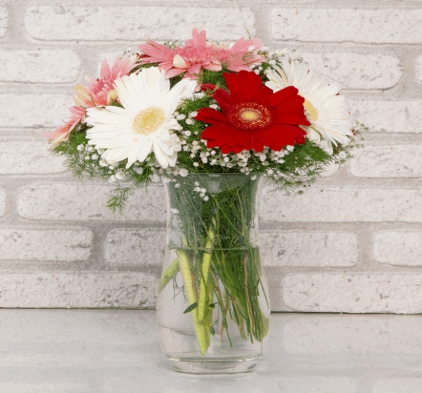 Cam Vazoda Gerbera