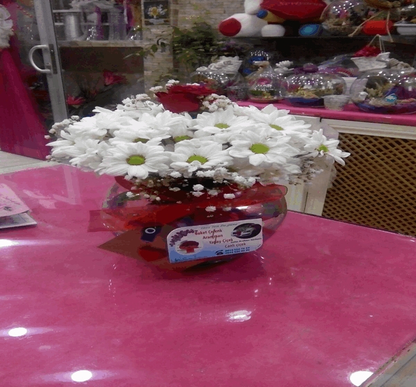 Papatya Küresi
