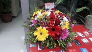 24 Kasım Öğretmenler Günü