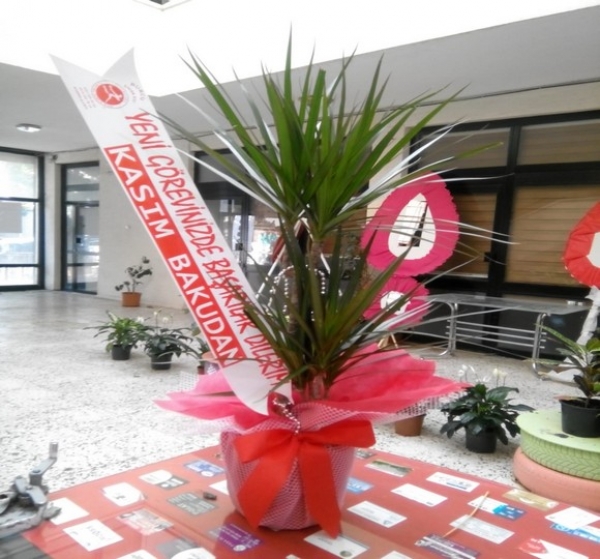 Margiranita 2&#039;li