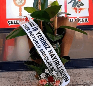 Kauçuk Çiçeği 2&#039;li